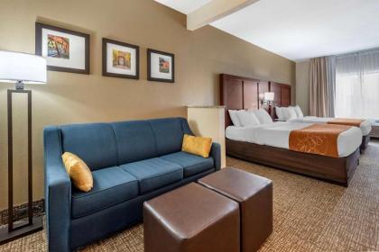 Comfort Suites Auburn - image 13