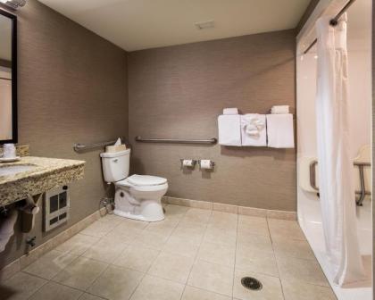 Holiday Inn Express Hotel & Suites Auburn an IHG Hotel - image 21