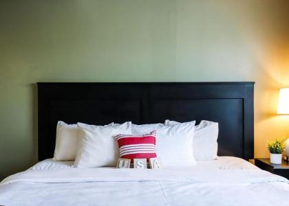 Quality Inn & Suites - image 12