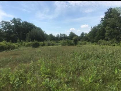 Tentrr Signature Site - Maple Grove Cove at Ewe Turn Farm - image 2