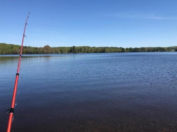 Tentrr Signature Site - Waters Edge at Ewe Turn Farm - image 3