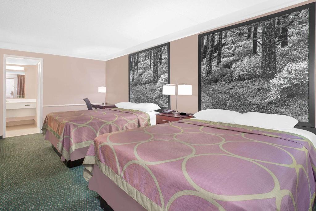 Super 8 by Wyndham Austell/Six Flags - image 7