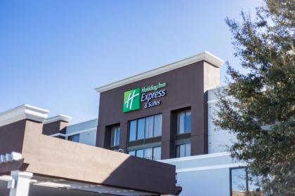 Holiday Inn Express Hotel  Suites Austin Airport an IHG Hotel Texas