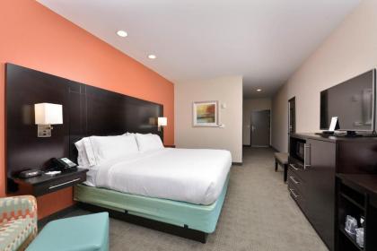Holiday Inn Express & Suites Austin South an IHG Hotel - image 4