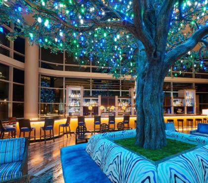 Fairmont Austin Austin