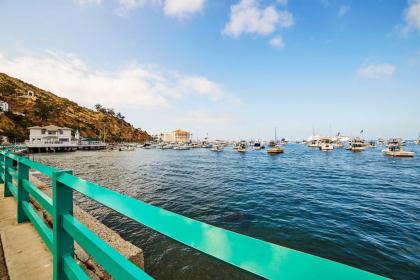 Charming Catalina Home with Deck Walk to the Beach! - image 13