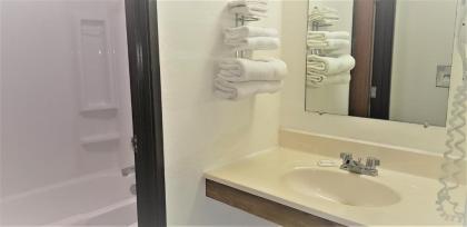 AmeriVu Inn & Suites-Avon - image 10