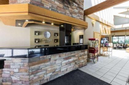 Comfort Inn Near Vail Beaver Creek - image 5
