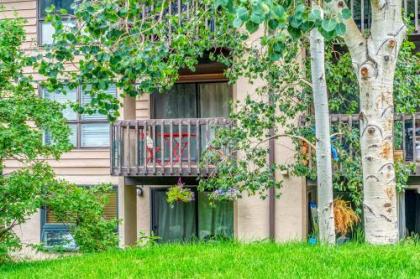 Mountain Stream Condo - image 4