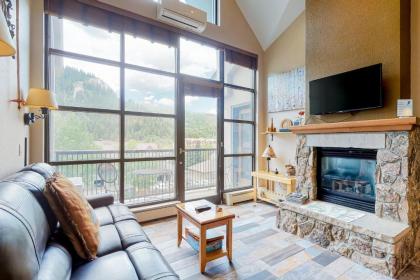 Holiday homes in Avon Colorado