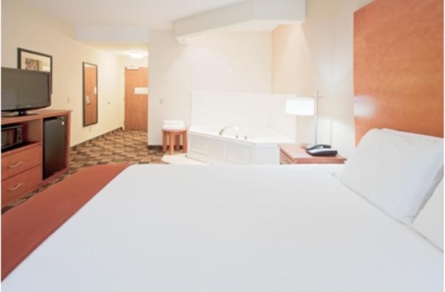 Holiday Inn Express Hotel & Suites Bainbridge an IHG Hotel - image 2