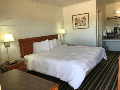 Ballinger Inn - image 3