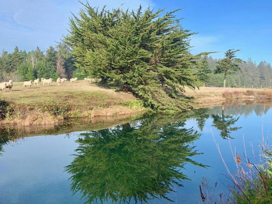 Tentrr - Cranberry Overlook at Black Moon Farms - image 7