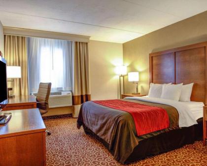 Comfort Inn Bangor - image 10