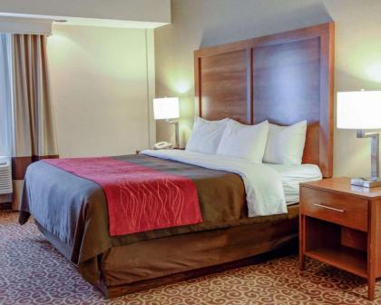 Comfort Inn Bangor - image 5