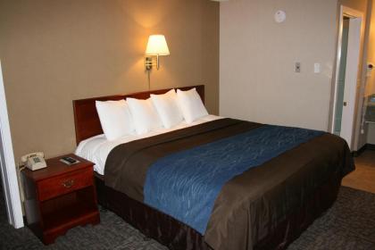 Bangor Inn & Suites - image 12