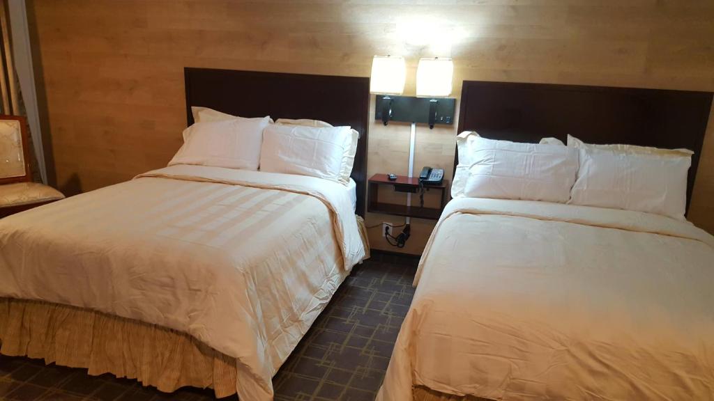 Stucco Lodge - image 5