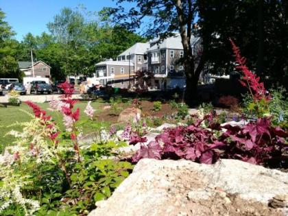 The Inn on Mount Desert - image 5