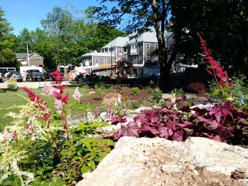 The Inn on Mount Desert - image 5