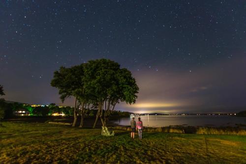 Saltair Inn Waterfront B&B - image 3