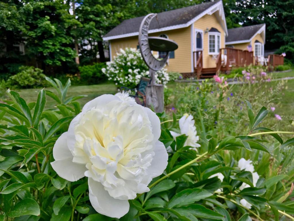 Sand Bar Cottage Inn - image 4