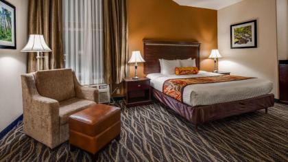 Best Western Plus Battleground Inn & Suites - image 16