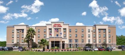 Hampton Inn & Suites Bay City - image 1