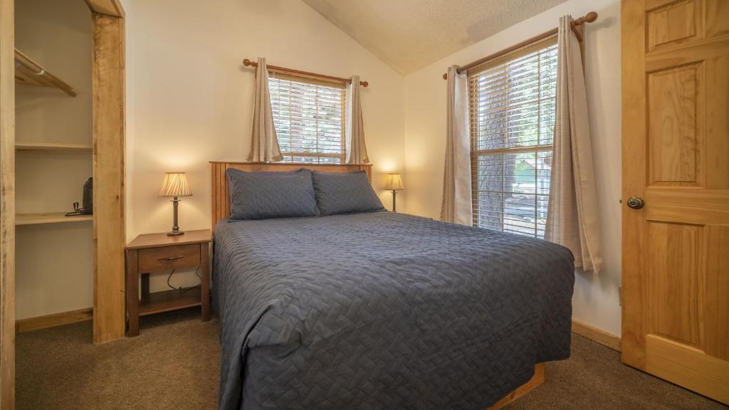 The Iris Cabin #1 - image 2