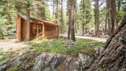 The Iris Cabin #1 - image 6