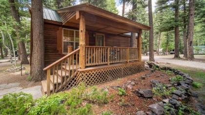 The Iris Cabin #1 - image 7