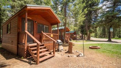 The Willows Cabin #7
