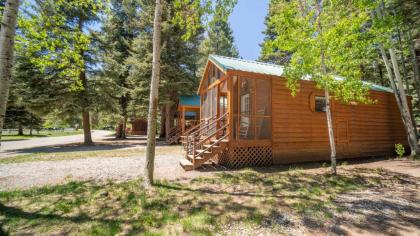 the Colorado Spruce Cabin #15 Bayfield Colorado