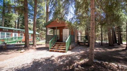 the twilight Cabin #4 Colorado