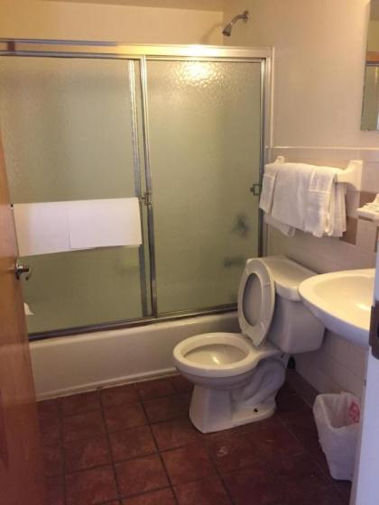 Hudson Plaza Motel - image 13