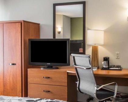 Sleep Inn Midway Airport Bedford Park - image 10