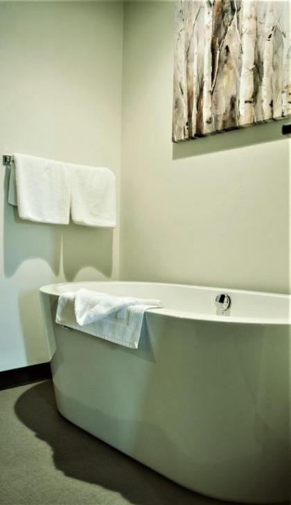 Silver Creek Hotel - image 13