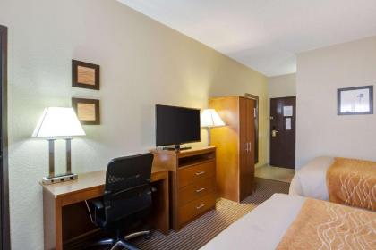 Comfort Inn & Suites Bellevue - Omaha Offutt AFB - image 13