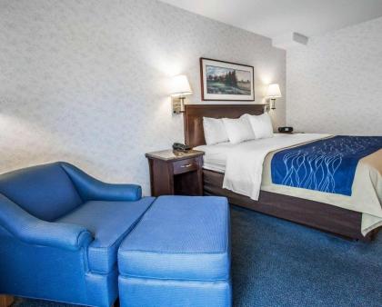 Comfort Inn Bellingham - image 15
