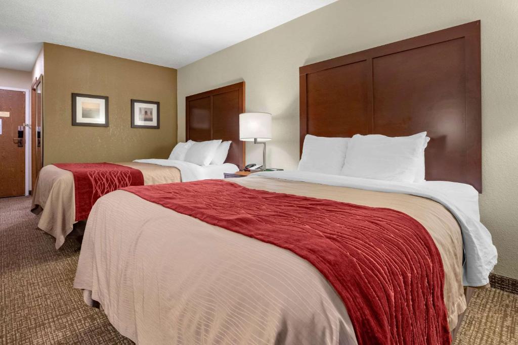 Comfort Inn Splash Harbor - image 7