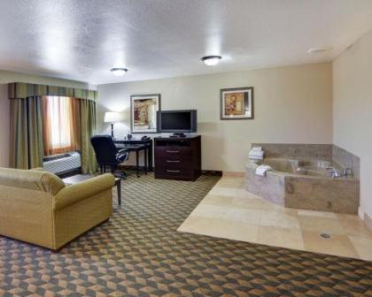 Comfort Suites Benbrook - image 13
