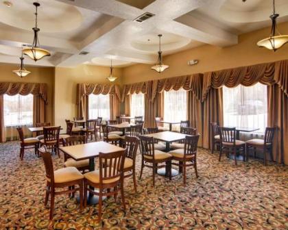 Comfort Suites Benbrook - image 2
