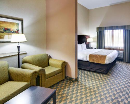 Comfort Suites Benbrook - image 3