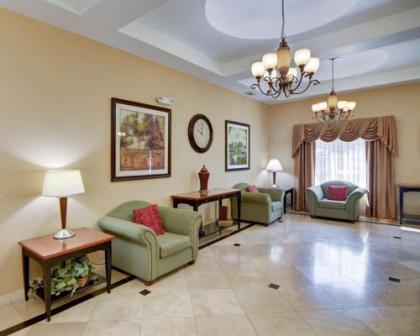 Comfort Suites Benbrook - image 5