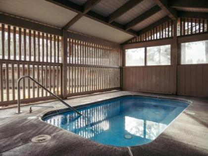 LOGE Bend - image 4