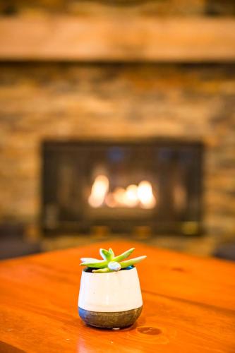 Pine Ridge Inn - image 3
