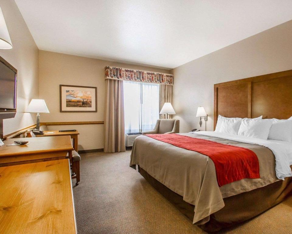 Comfort Inn Benson near Kartchner Caverns - image 3