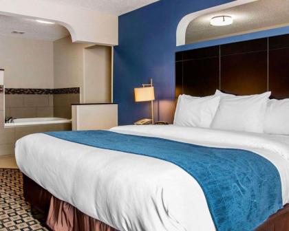 Comfort Suites Benton Harbor - St. Joseph - image 10
