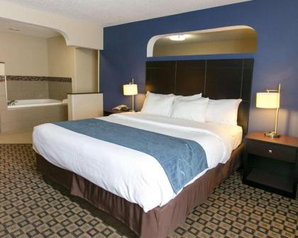 Comfort Suites Benton Harbor - St. Joseph - image 12