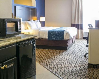 Comfort Suites Benton Harbor - St. Joseph - image 13