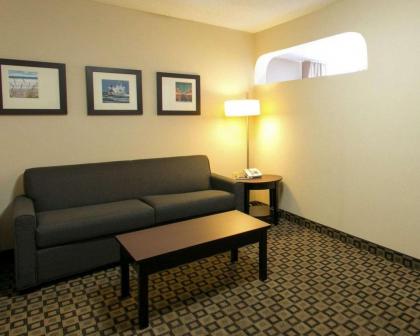 Comfort Suites Benton Harbor - St. Joseph - image 14